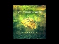 Lyrics to Through the Night - Wolves At The Gate ...