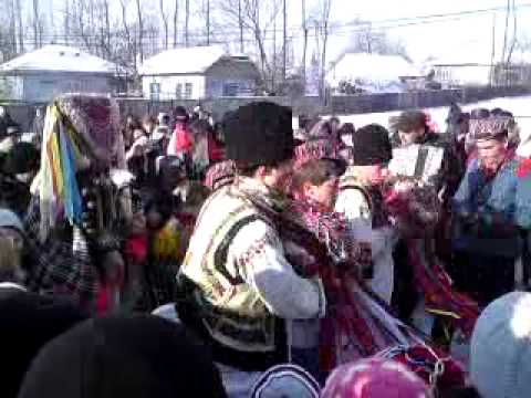 datini si obiceiuri / Borosoaia 31.dec.2010