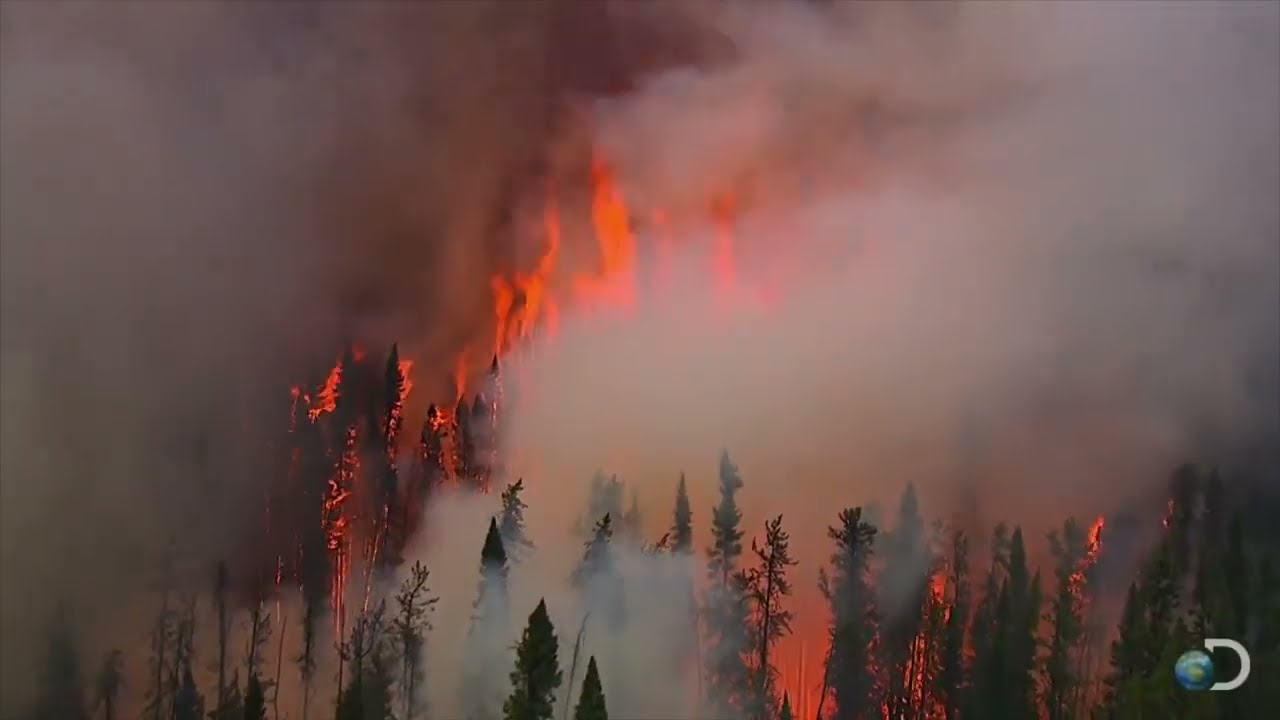 Forest Fire Risk Mapping: It's for Everyone