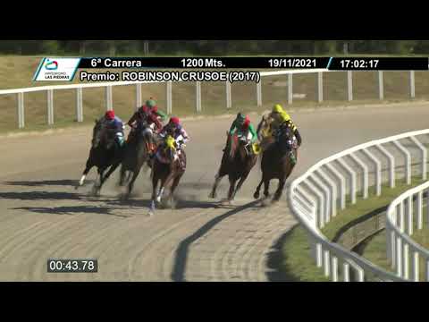 211119 c06 - LOBUNO - HIPODROMO LAS PIEDRAS