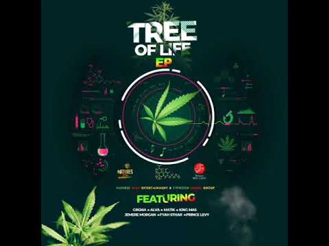 Fyah Sthar - People (Official Audio)