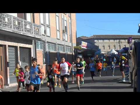 Dal Parc al Paradis -  Migliarino 6 settembre 2015