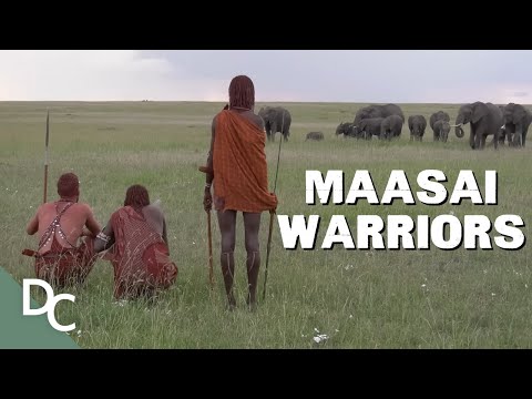 A Look Inside The Last Great Warrior Tribe | The White Maasai Warrior | Documentary Central