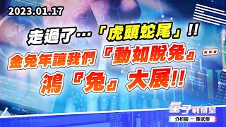 【量子戰情室】#陳武傑 0117 走過了…「虎頭蛇尾」!!金兔年讓我們『動如脫兔』… 鴻『兔』大展!! (圖)