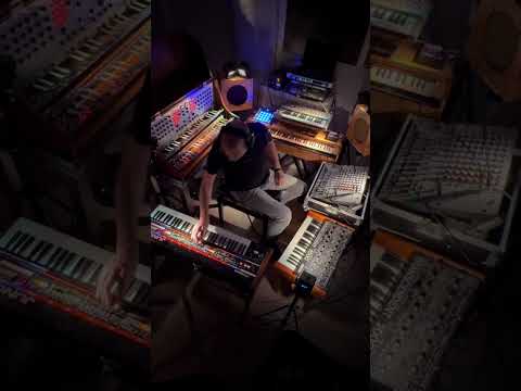 LudoWic - Autumn Patterns