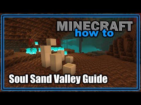 Everything You Need to Know About the Soul Sand Valley (1.21.6+) | Easy Minecraft Biome Guide