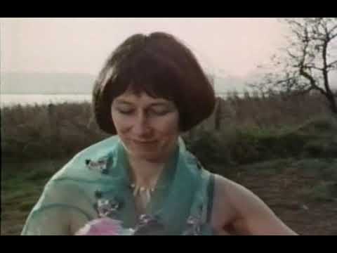 Secret Life Of Machines 105 The Refrigerator