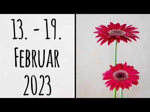 WAAGE ♎️ Arbeit & Erfolg (Tarot Wochenimpuls KW 7)