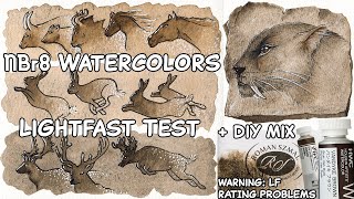NBr8 Lightfast Test - Vandyke Brown Holbein, ShinHan, Roman Szmal Van Dyck Watercolor Rating Problem