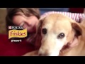 Friskies Gli Inseparabili campagna adozione cani e gatti | PURINA FRISKIES