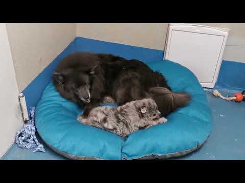 Rabea Luna von der Arnold's Eiche mit ihrer Mami.