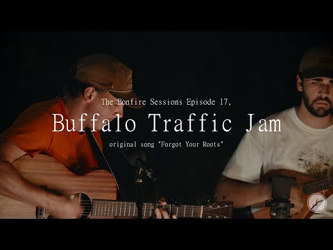 Buffalo Traffic Jam
