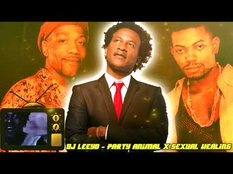 Dj Leeyo - Party Animal X Sexual Healing (2021)