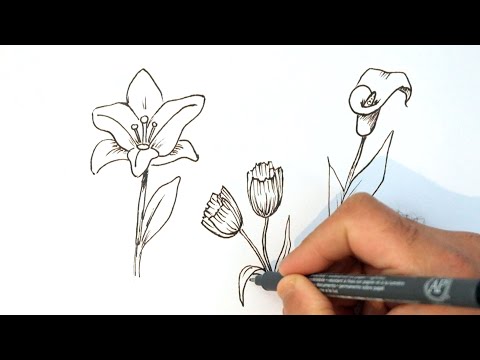Apprendre à dessiner une fleur à dessiner facile etape par etape noir et blanc