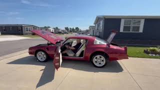 1976 Pontiac Firebird Trans Am-Walk Around
