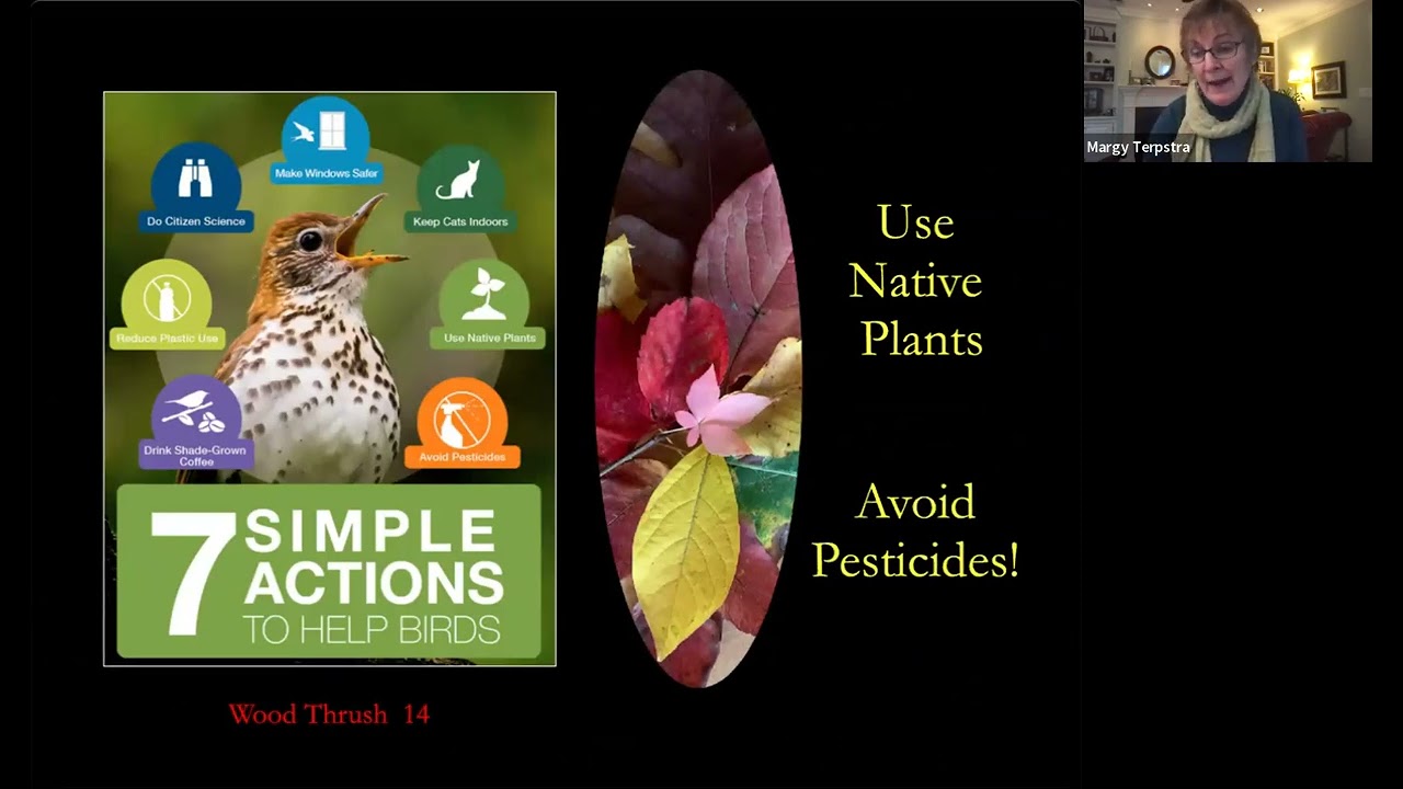 Our Garden is for the Birds