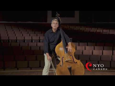 Double Bass Tutorial with Jeremy McCoy