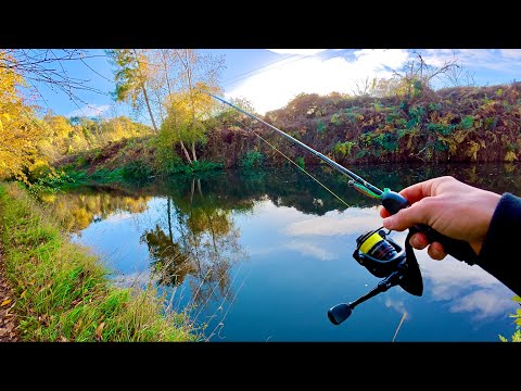Ultra Light Lure Fishing Canal Hooking Into Perch!