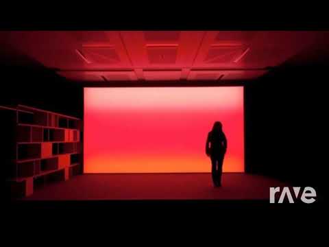 The Moonshinx Substance - Dhamika & Mystxrivl | RaveDj