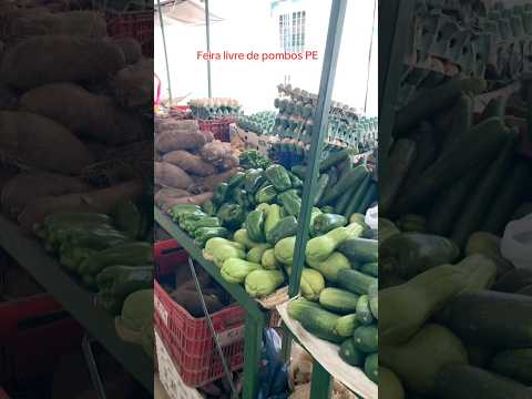 Feira livre de pombos PE