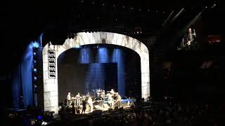 Philly forget me not