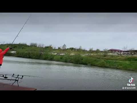 Nadire spomb !!! Balta gruiu !!! 🦈