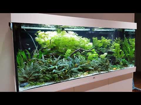 Watch Video on YouTube