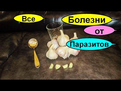 Очищение организма чесноком. Рецепт Чингисхана. Как избавиться от паразитов дома за 1 ночь
