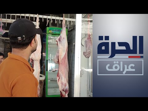 شاهد بالفيديو.. للحد من غلاء اللحوم الحمراء.. الزراعة تفتح باب استيرادها