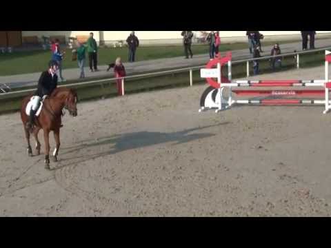 Hradištko 30.3.2014 - Rabbit Bounty