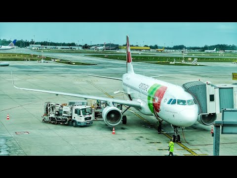 Classe Económica TAP Portugal | TP1927 Porto para Lisboa - Airbus A320