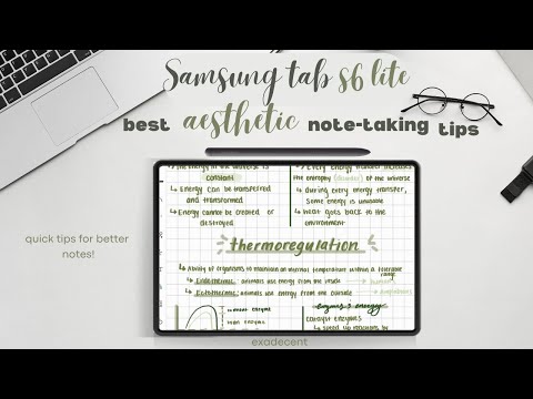 How i take aesthetic notes on my samsung tab s6 lite| aesthetic samsung notes tutorial
