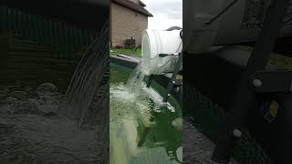 Download lagu The Bucket Method to clear iron from my pool water. #abovegroundpool #redneck mp3 Download lagu The Bucket Method to clear iron from my pool water. #abovegroundpool #redneck mp3