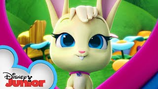 Blondie the Bunny 🐰| Calling All T.O.T.S. | T.O.T.S. | Disney Junior