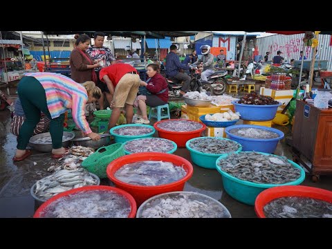 Amazing Cambodian Fish Market Day in Early Morning - Daily Activities Of Vendors Selling Fish & More