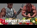 GROCERY GAINS!!! How To Stay Lean and Fight Food Cravings
