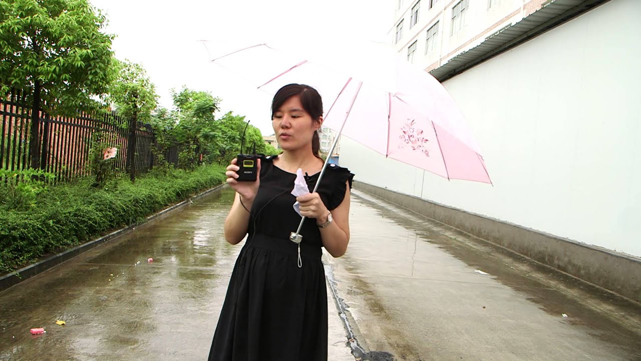 Петличная радиосистема Boya BY-WM6