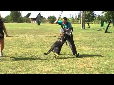 Finny Aykmar - 13 months - defence