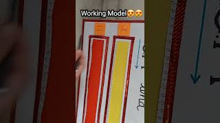 Working Model 😍😍of L.C.M and H.C.F #project #diy #easy #maths
