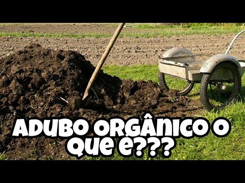 ADUBO ORGÂNICO O QUE É PARA QUE SERVE?