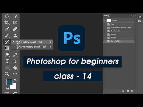 History Brush , History panel and Art history Brush Tool - photoshop for beginners - Class 14