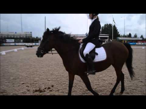 Pay and ride 5/9 2015