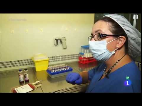 Fabricando Made In Spain (TVE). Así se obtienen las células madre.