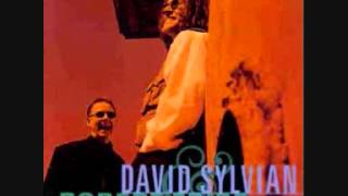 David Sylvian &amp; Robert Fripp -  20th Century Dreaming (A Shaman&#39;s Song)