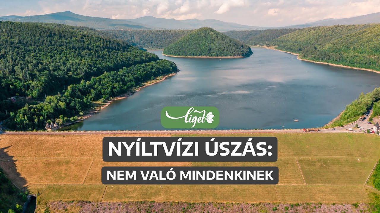 A tó nem medence: ne ugorj fejest a veszélybe