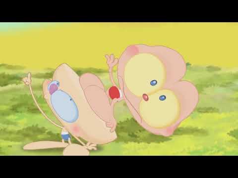 Mongo e Drongo Respondem 5 - Porque o Mongo vive em cima de Drongo? 🤔🔥