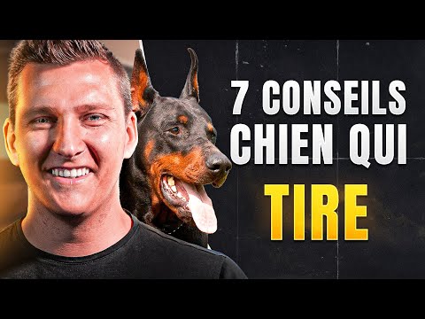 download lagu mp3 mp4 Mon Chien Tire En Laisse, download lagu Mon Chien Tire En Laisse gratis, unduh video klip Mon Chien Tire En Laisse