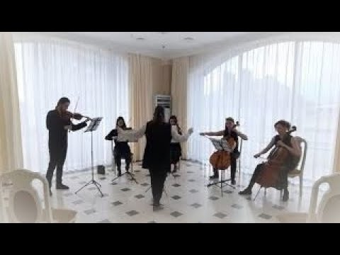 Vasilisa Gorochnaya - "Pelican and Rose" Oboe Concerto. Movement II (Arrangement for strings) LIVE