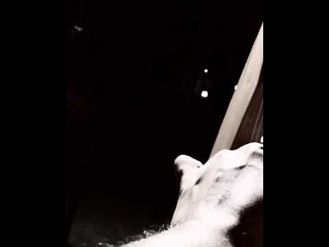 Maldives harpmusic - saifsaippe- @ four seasons kuda hura