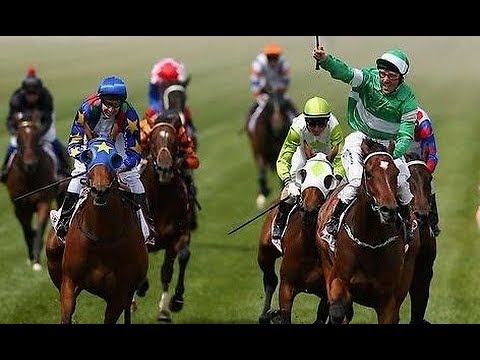 2012 The AAMI Victoria Derby G1 - Fiveandahalfstar (五星半) - D.Oliver (27倍)